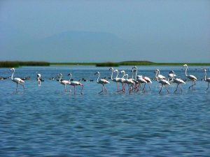 Chilika