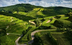 Coorg