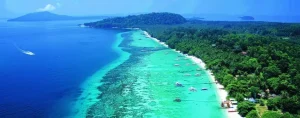 Elephant Beach