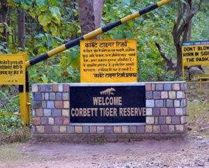 Tiger Reserves In India- Jim Corbett