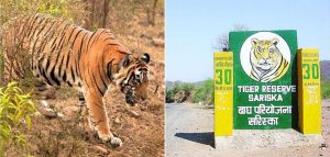 Sariska